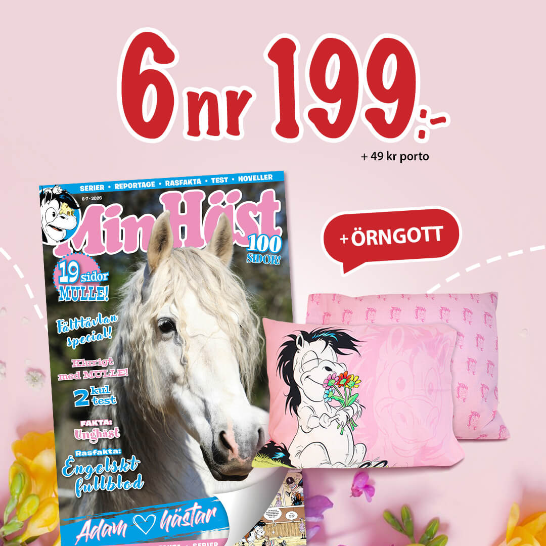 6 nummer av tidningen Min Häst + Min Häst-örngott. Endast 199 kr!
